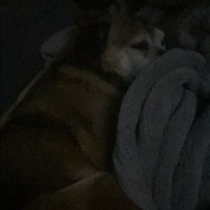 Meet your Posher, Stacy